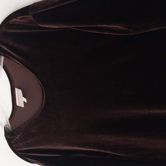 COLDWATER CREEK Brown Velvet Tunic Crew Neck Long Sleeve Top Size Large - Picture 16 of 16